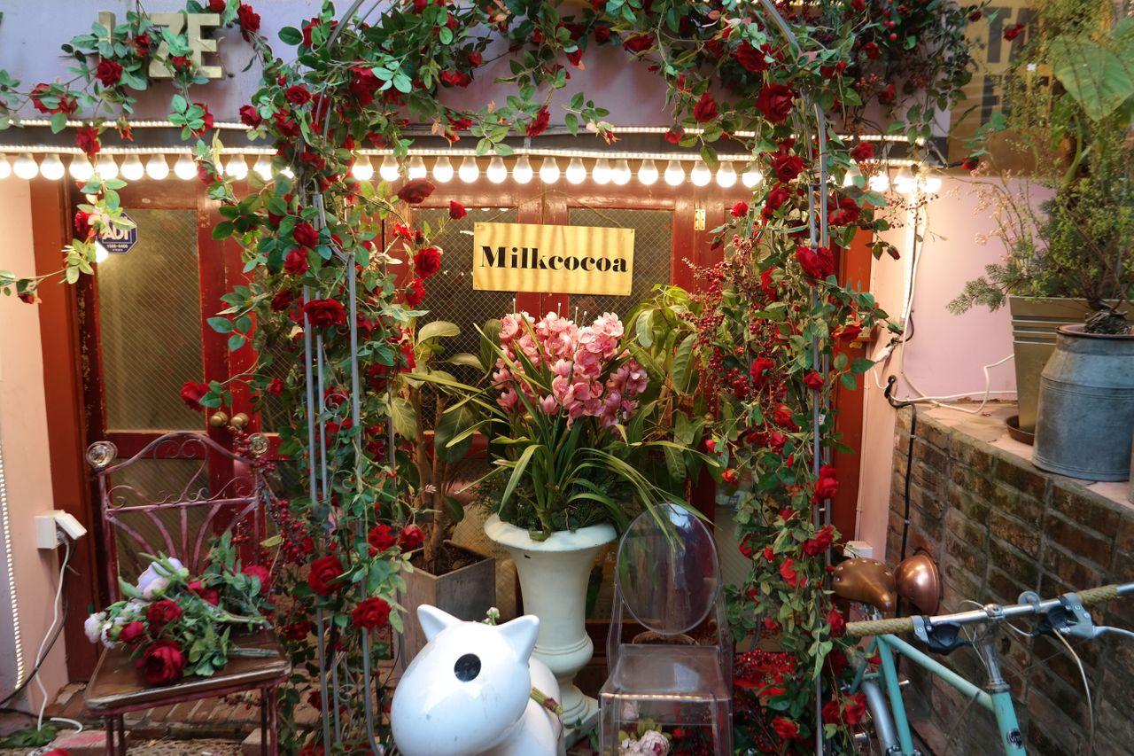 Korean Online Brands | Flagship Stores in Hongdae | Experience the famous Korean online shops at offline stores now!